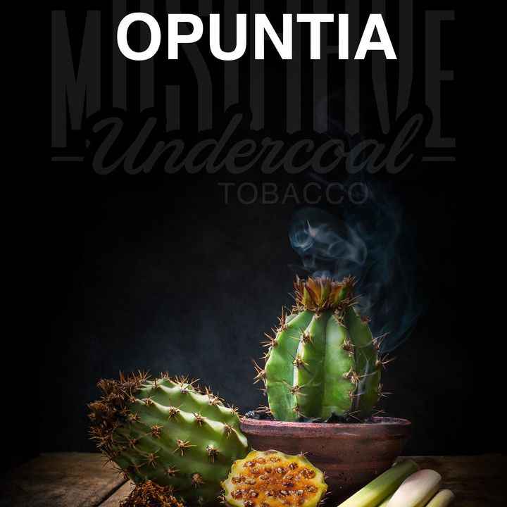 Musthave | Opuntia | 200g 